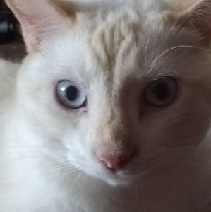 Meet your Posher, Deborah